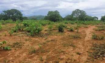 Imagem 7: Oportunidade <br>Excelente fazenda de dupla aptidão na Regiao de Cabeceiras-GO