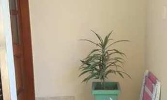 Imagem 6: Sobrado com 3 dormitórios à venda, 165 m² por R$ 690.000,00 - Vila Tibiriçá - Santo André