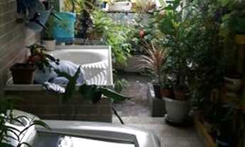 Imagem 5: Alugo casa em condomínio no Parque Fluminense