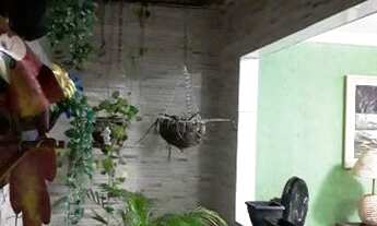 Imagem 4: Alugo casa(700) ou vende-se(130Mil) Janga