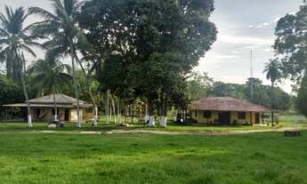 Imagem 3: Fazenda à venda dentro de Santarém com 100 hectares, km 03 Alter do Chão