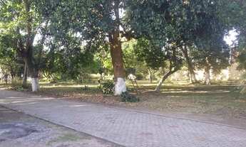 Imagem 3: Chacara para venda com 5000 metros quadrados casarão com 8 quartos em São José - Carpina