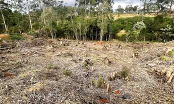 Imagem: Terreno em condomínio para venda possui