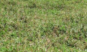 Imagem 5: Vendo excelente lote zona rural de saj