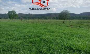 Imagem 7: Fazenda 124,4 Hectares No Triângulo Mineiro