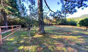 Imagem 4: CHÁCARA A 100 METROS DA RS020-PARCELO DIRETO