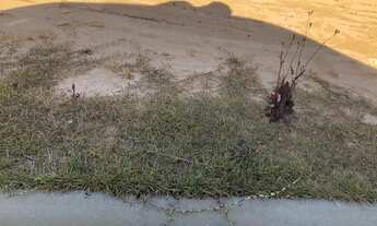 Imagem 6: TERRENO MONTERREY 250m