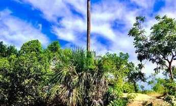 Imagem 4: Área ampla de 44 mil metros quadrados/ Jalapão / Área de turismo ampla