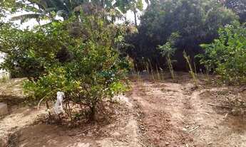 Imagem 4: Casa - Ortizes - Valinhos