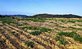 Imagem 5: Lote/Terreno para venda tem 500 metros quadrados em Centro - Atibaia - SP