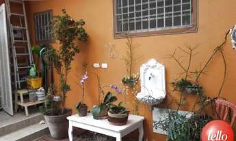 Imagem 3: São Paulo - Casa Padrão - Mandaqui