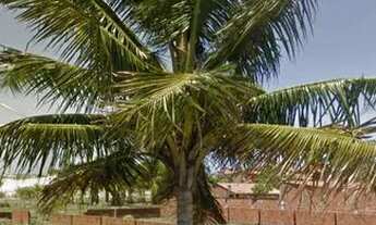 Imagem 3: Vendo Terreno na Taiba a 400 MT do Mirante e 5 min da praia