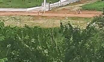 Imagem 3: Casa em Condomínio de chácaras