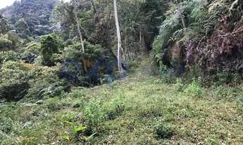 Imagem 6: Fazenda, 493 hectares