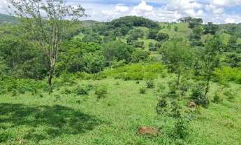 Imagem 2: Fazenda/Sítio/Chácara para venda tem 250 metros quadrados com 3 quartos