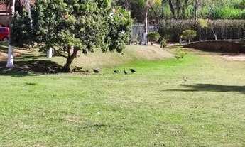 Imagem 6: Chacara Tio Gambiarra