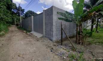 Imagem: Lote com 1800m2 em aldeia, todo murado e