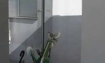 Imagem 2: Apartamento no MENINO DEUS