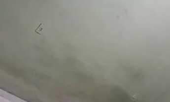 Imagem 5: VENDO CASA Casa com 1 dormitório