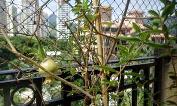 Imagem 7: Apartamento com 2 dormitórios à venda, 105 m² por R$ 2.590.000,00 - Barra da Tijuca - Rio