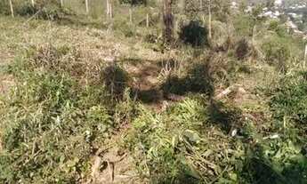 Imagem 2: Terreno localizado na moeda