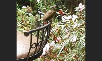 Imagem 2: Venda e locação