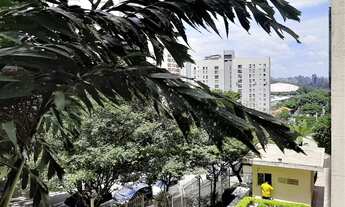 Imagem 2: PARAÍSO - ENTRE A AVENIDA PAULISTA E GINÁSIO DO IBIRAPUERA