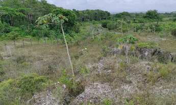 Imagem 4: Excelente Terreno no Polo Industrial Camaçari - Próximo da montadora chinesa BYD ( FORD