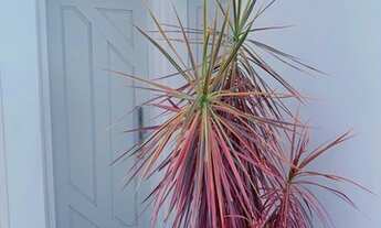 Imagem 2: APARTAMENTO MOBILIADO NO BAIRRO CANDEIAS - EXCELENTE LOCALIZAÇÃO!!