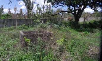 Imagem 4: Vendo Terreno 50mx100m 5.000m²