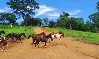 Imagem 3: Terrenos Financiados em Condomínio Segurança Lazer e Área Verde