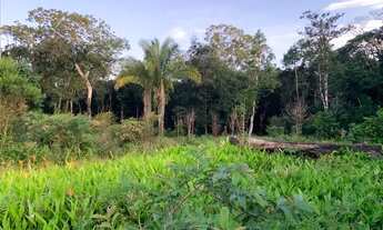 Imagem 2: Chácara em Itanhaém Pq real