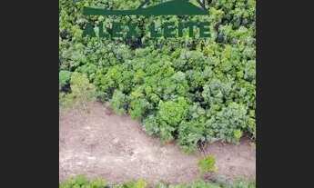 Imagem 4: 4 hectares de terra