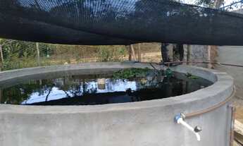 Imagem 3: Vendo chácara Chácara com venda por R$70.000