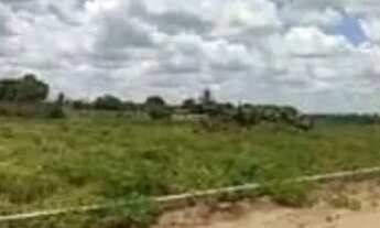 Imagem 5: Vendo 4 Lotes um ao Lado do Outro. Loteamento Onildo Silva Pedra Ferrada