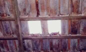 Imagem 5: Alugo / vendo Casa com 2 dormitórios