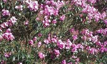 Imagem 2: Casa residencial à venda, Vila Verde, Itapevi