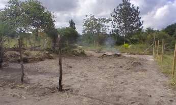 Imagem 3: TERRENO NA LINHA VERDE *MASSARANDUPIÓ