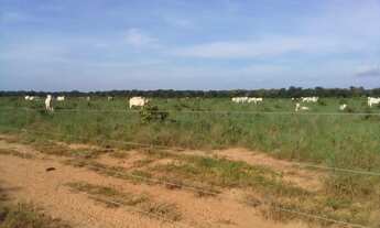 Imagem 6: Vendo fazenda em Santa Rita Tocantins 395 alq