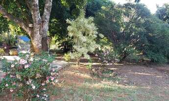 Imagem 2: Vende-se uma Chácara na Ponte Alta