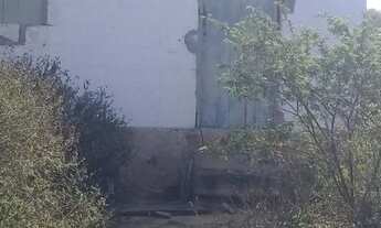 Imagem 2: Vendo fazenda em brejoes com 1.600 tarefas