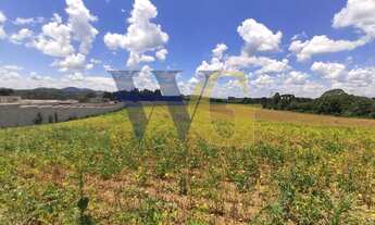 Imagem 5: Terreno para Venda em Campo Largo, Miqueleto