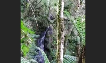 Imagem 3: Área de cinema em Urubicí ( 10 hectares