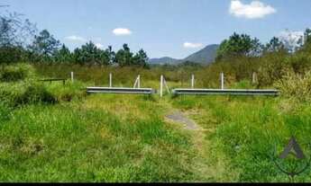 Imagem 4: AREA FRENTE BR 116. 70 MIL MTRS