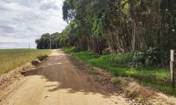 Imagem: Vendo terreno para formar chácara, em Contenda