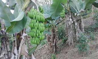 Imagem 5: Vende-se 2 sítios