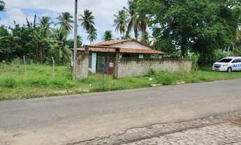 Imagem 2: Sítio coqueiro, ceará mirim
