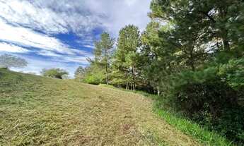 Imagem 3: Chácara para venda tem 4690 metros quadrados com VISATA panorâmica da região, aceito CARRO