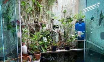 Imagem 6: Sobrado com 3 dormitórios à venda, 130 m² por R$ 690.000,00 - Planalto - São Bernardo do C