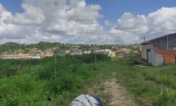 Imagem 3: Vendo terreno no Guajara